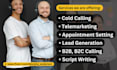 do b2b ,b2c cold calling and appointment setting