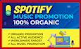do professional spotify music promotion