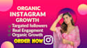 professional instagram growth organic follower