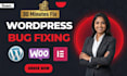 fix wordpress issues, fix wordpress errors, fix bug