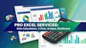 excel data calculation,cleaning,dashboard creation