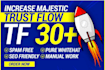 increase majestic trust flow, majestic tf 30 plus