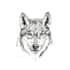 draw realistic hand drawn sketches of animals