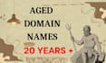 give you 20 years aged popular domain name