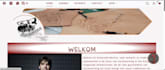make website in wordpress nice basic website