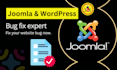 fix your joomla website bug or wordpress website bug