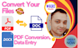 professionally type and write any statment from pdf to convert word