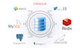design your sql database, erd diagram, and write optimized queries