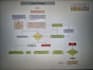 create detailed process maps, flowcharts and diagrams