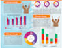 do business infographic flowchart diagram and a chart design