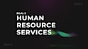 write HR policies, design professional pitch decks and make graphs or charts