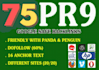 do 75 pr9 high quality backlinks SEO