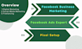 create fb business manager, fb ads expert, also setup pixel