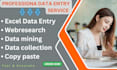 handle your data entry tasks with precision and care