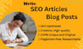be your compelling SEO articles and blog posts writer