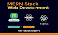 develop custom mern stack full stack web app  full stack mern stack developer