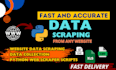 do python web scraping, websit scraper and data scraper