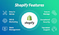 create a top rated shopify store with professional design