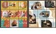 do instagram puzzle feed and grid design