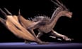 do dragon animation, animal animation, 3d animation, 3d animal model, 3d design