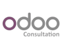 do odoo HR consulting, payroll management