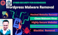 do wordpress malware removal and make strong security
