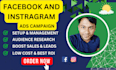 serve as your knowledgeable facebook ads campaign manager