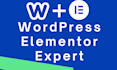 expert wordpress website design with elementor and elementor pro