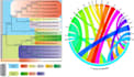do all type ngs data analysis and manuscript writing