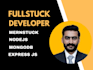 be mern stack developer full stack web application developer