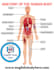 solve human anatomy problem and human physiology problem
