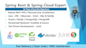 develop rest apis and microservices in spring boot and spring cloud