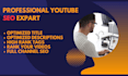do youtube videos seo expert
