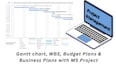 create gantt chart, wbs, project schedule, and project baseline