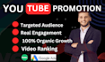 do organic youtube video promotion by google ads