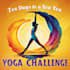 provide personal yoga session