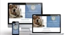 develop custom pet training, dogs care, pet ecommerce website