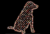 give your pet a reconnective healing session
