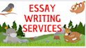 write reflective essays, argumentative essays, narrative and persuasive essays