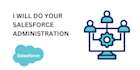 be your salesforce administrator