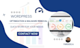 optimize wordpress website and store optimization