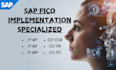 provide sap fico related work implementation process