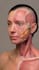 create cinematic ai 3d medical and product animation video