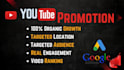 do youtube video promotion for your aimed  audience