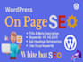 provide wordpress on page SEO services