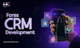 develop a custom forex CRM and traders room