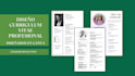 create and desing a professional curriculum
