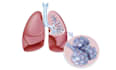 do high quality 3d medical animation video and modelling