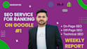 provide full SEO service for ranking on google