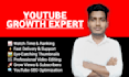 do youtube SEO, editing, and thumbnail design as manager